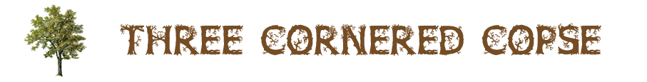 Three Cornered Copse Demo